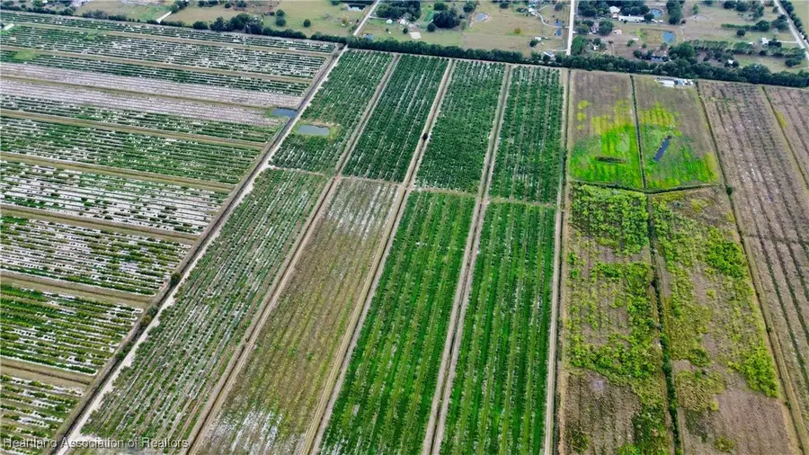 Auburn Street, Lorida, FL 33857 - Image #3