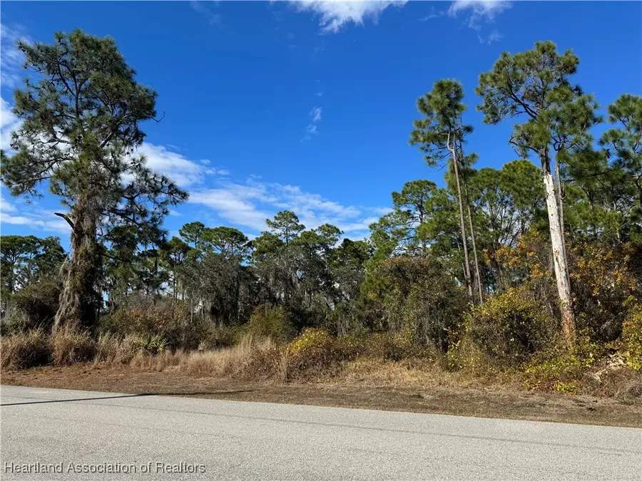 3013 Brooklands Avenue, Lake Placid, FL 33852 - Image #2