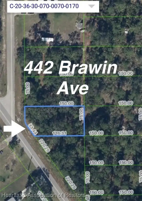 442 Brawin Avenue, Lake Placid, FL 33852