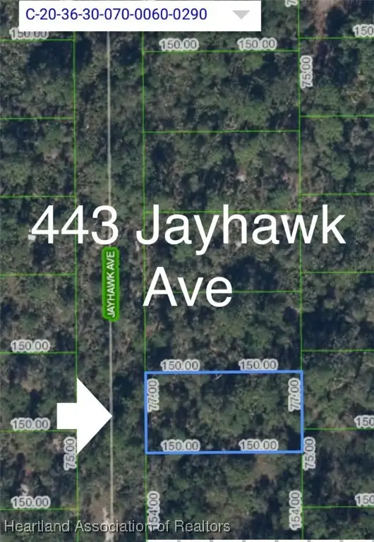442 Brawin Avenue, Lake Placid, FL 33852 - Image #2