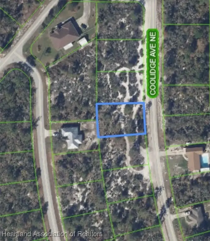 333 Coolidge Avenue Ne, Lake Placid, FL 33852 - Image #1