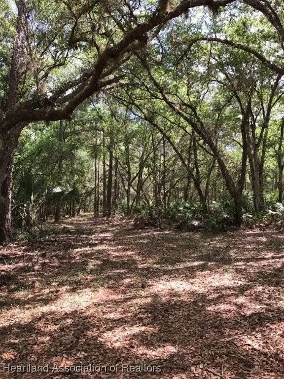 49 Fenny Bosk Trail, Venus, FL 33960 - Image #1