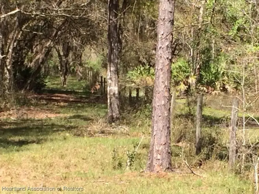 49 Fenny Bosk Trail, Venus, FL 33960 - Image #2