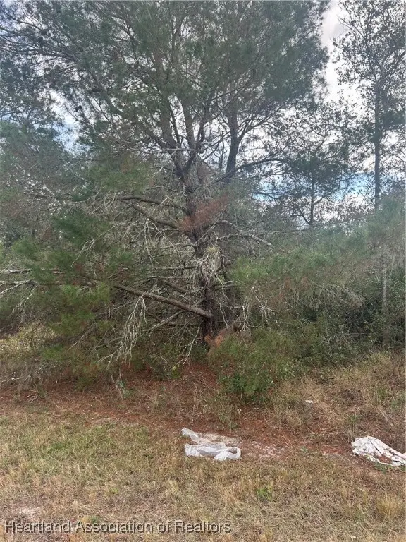 2365 W Haviland Road, Avon Park, FL 33825