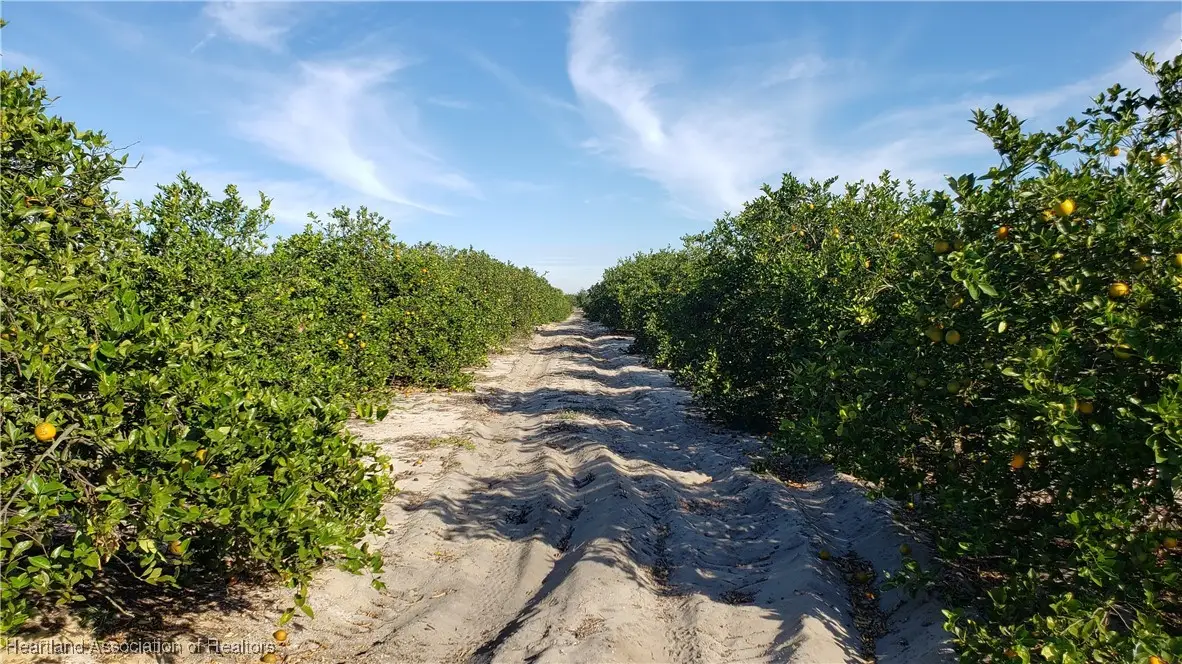 6500 Skipper Road, Sebring, FL 33876 - Image #1