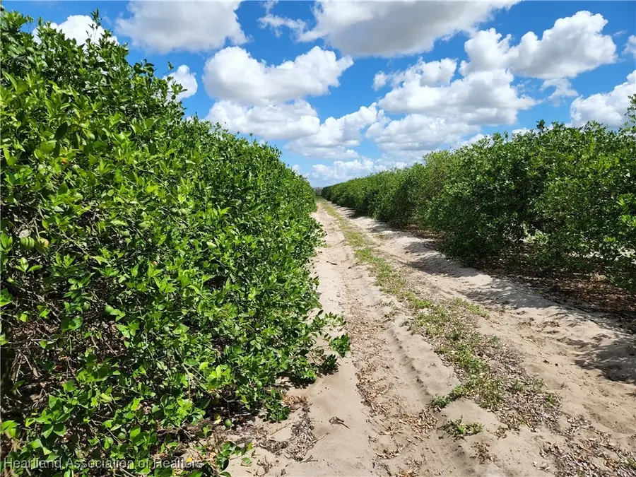 6611 Skipper Road, Sebring, FL 33876 - Image #2