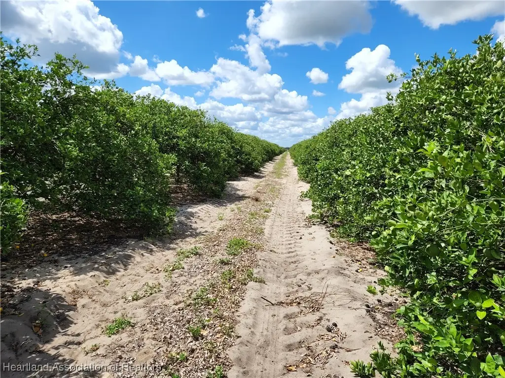 8923 E Twitty Road, Sebring, FL 33876 - Image #1