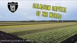 115 Frederick Street Nw, Lake Placid, FL 33852 - Image #2