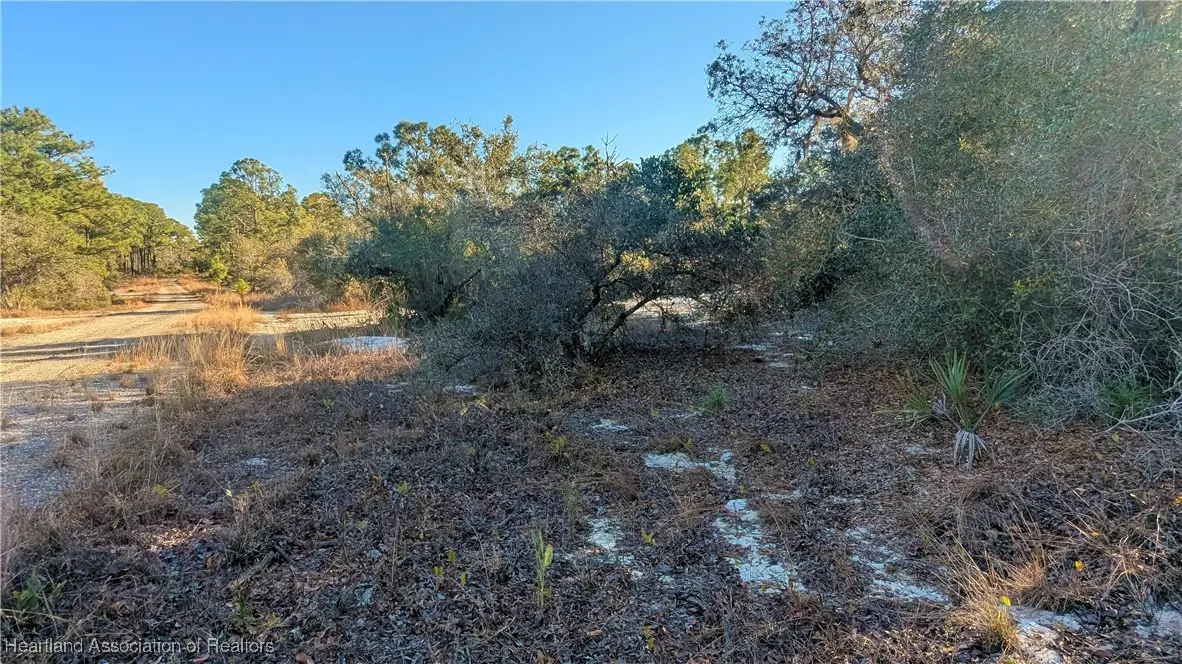 518 Blue Skies Drive, Lake Placid, FL 33852 - Image #1