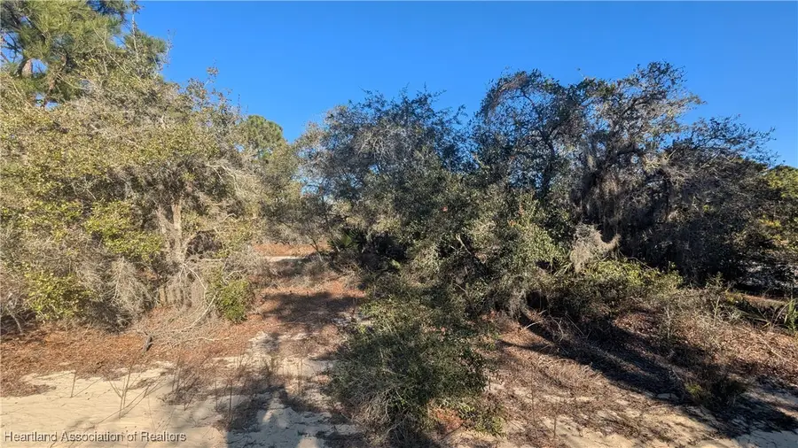 518 Blue Skies Drive, Lake Placid, FL 33852 - Image #3