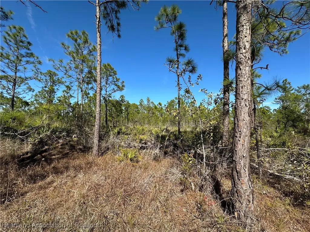 1722 Oleaster Avenue, Sebring, FL 33875 - Image #1