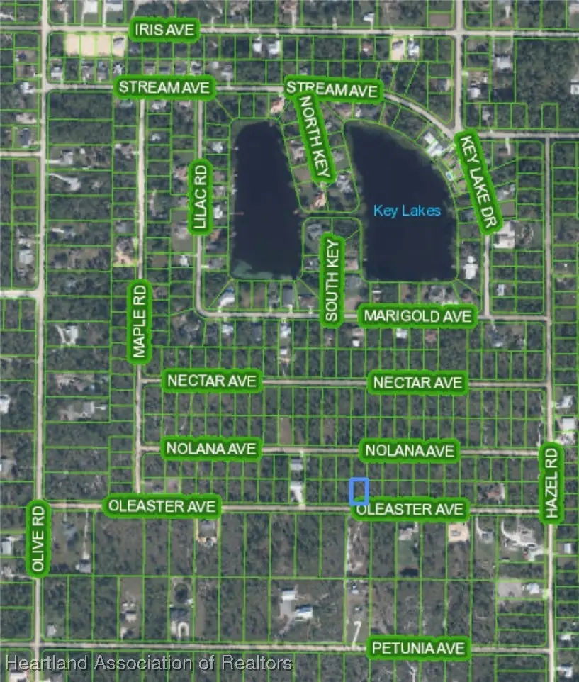 1722 Oleaster Avenue, Sebring, FL 33875 - Image #3