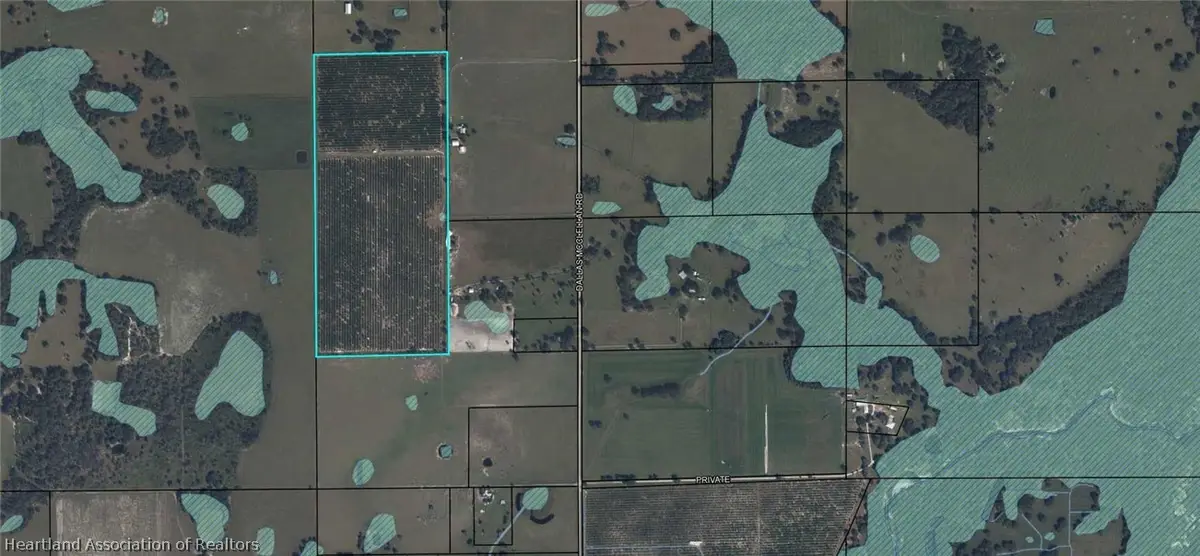 4916 Dallas Mcclellan Road, Zolfo Springs, FL 33890 - #1