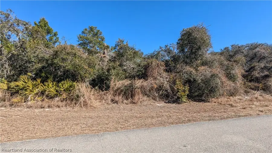 3045 Georgia Pine Road, Lake Placid, FL 33852 - Image #2