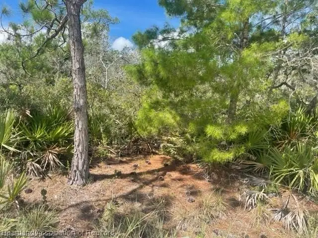 10500 Tam Oshanter Boulevard, Sebring, FL 33875 - #1