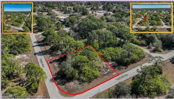 217 Joppa Avenue, Lake Placid, FL 33852