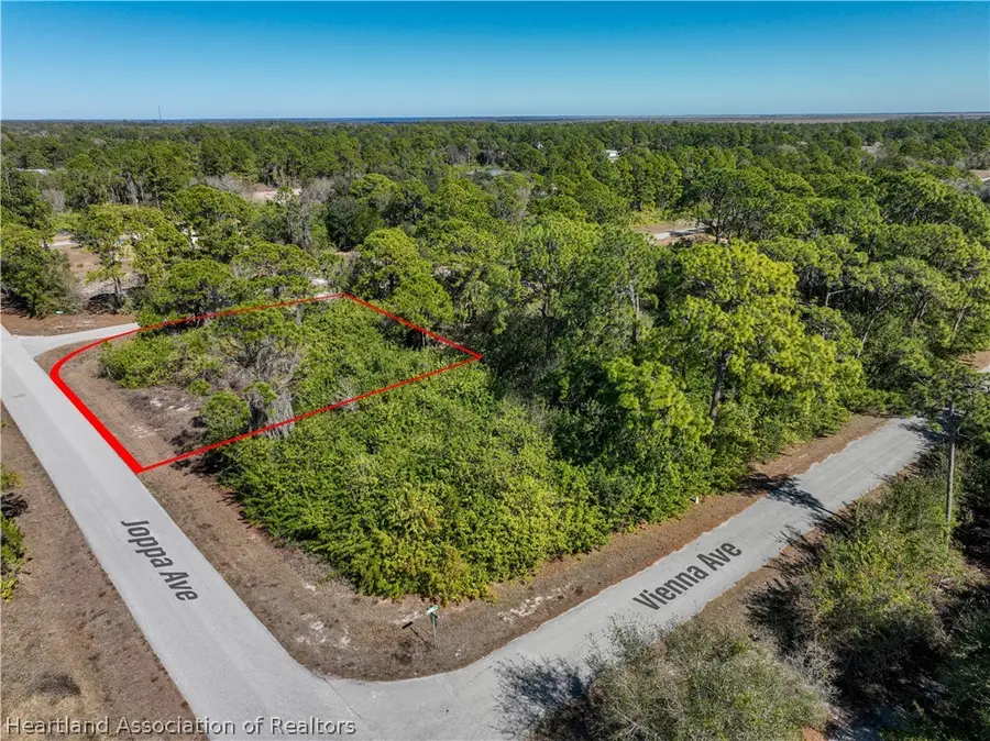 217 Joppa Avenue, Lake Placid, FL 33852 - Image #2