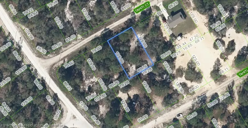 405 Tahiti Court, Lake Placid, FL 33852 - #1