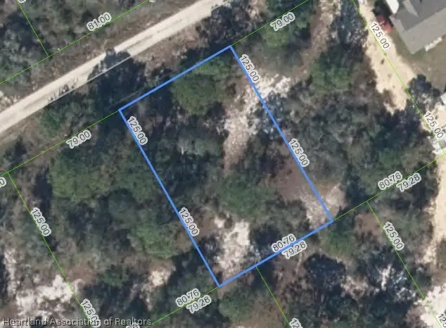 405 Tahiti Court, Lake Placid, FL 33852 - #2