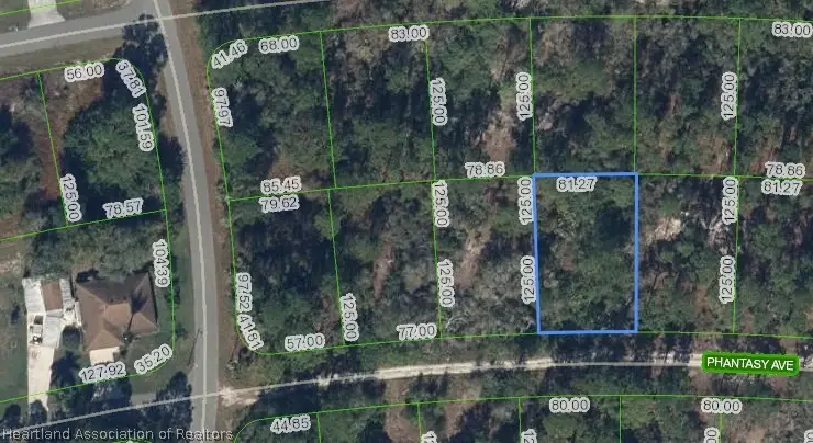 264 Phantasy Avenue, Lake Placid, FL 33852 - #1