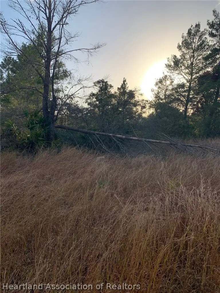 2851 W Seville Drive, Avon Park, FL 33825 - #3