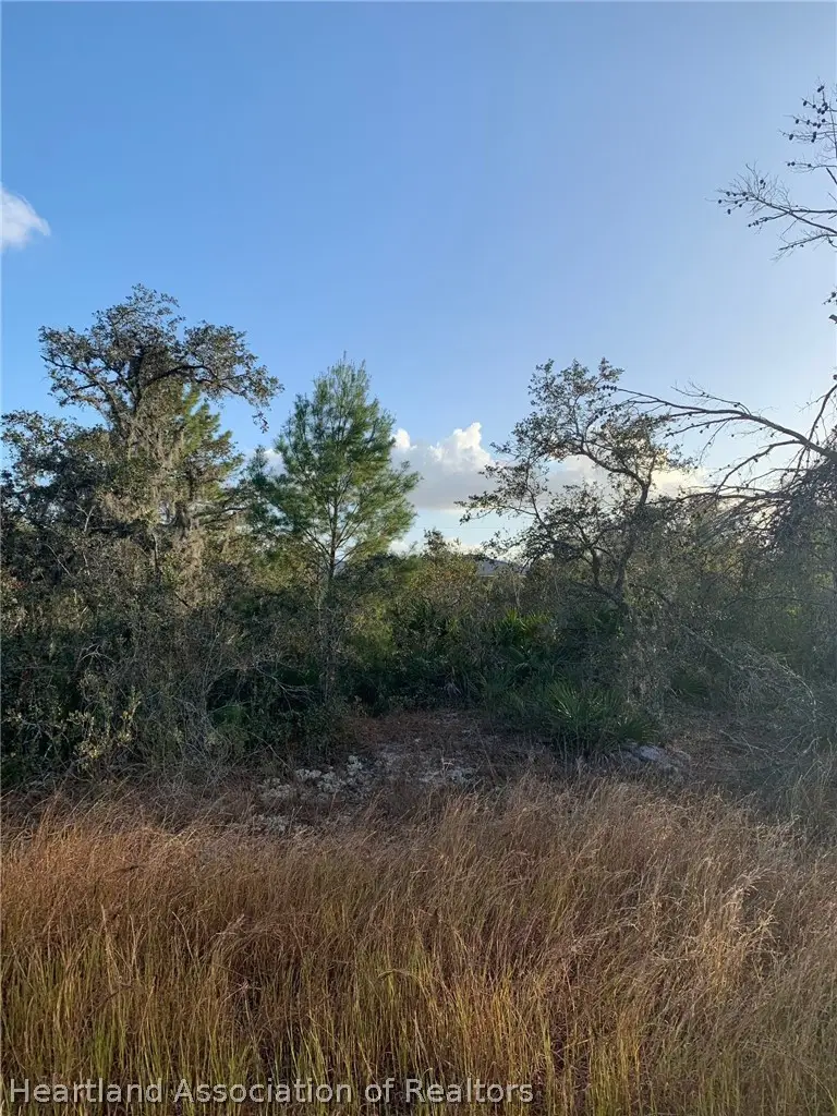 2907 W Seville Drive, Avon Park, FL 33825 - #1