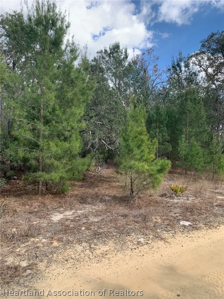 2242 N Barclay Road, Avon Park, FL 33825 - #3