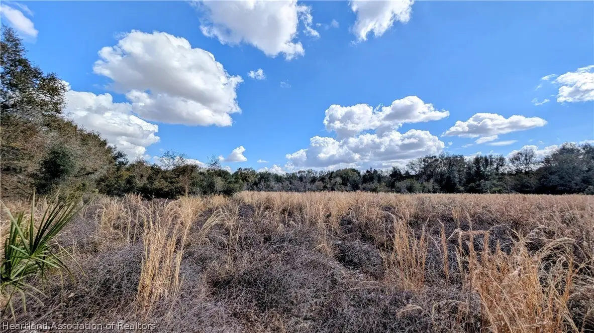1885 Peace River Woods Road, Wauchula, FL 33873 - #1