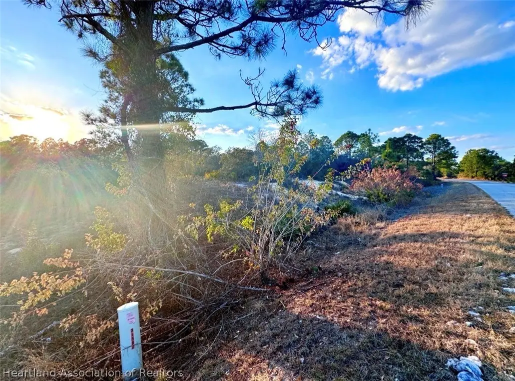 124 Blue Horizon Drive, Lake Placid, FL 33852 - #1