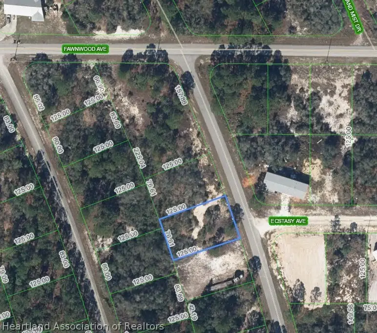 124 Blue Horizon Drive, Lake Placid, FL 33852 - #2
