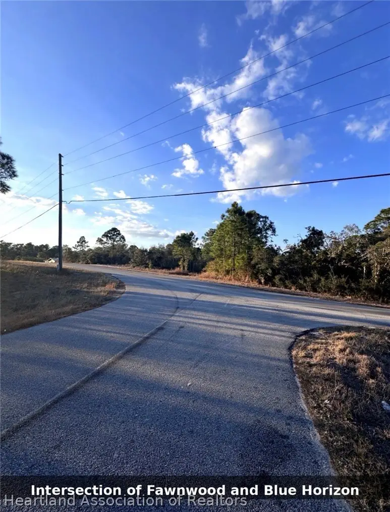 124 Blue Horizon Drive, Lake Placid, FL 33852 - #3