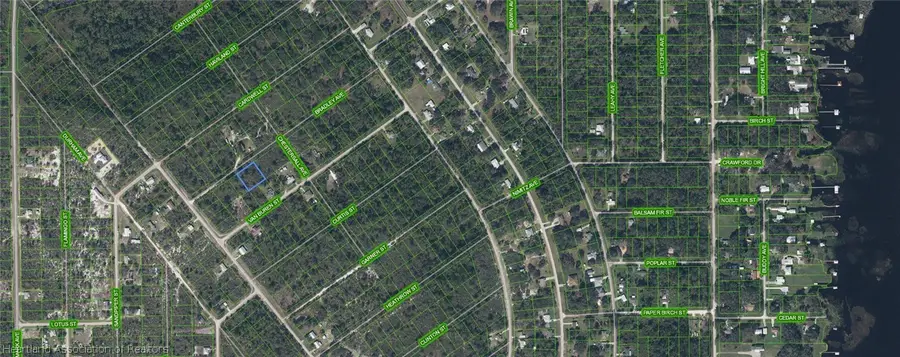 1209 Bradley Avenue, Lake Placid, FL 33852 - #2