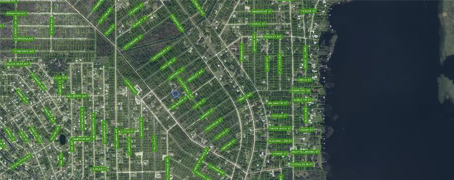 1209 Bradley Avenue, Lake Placid, FL 33852 - #3