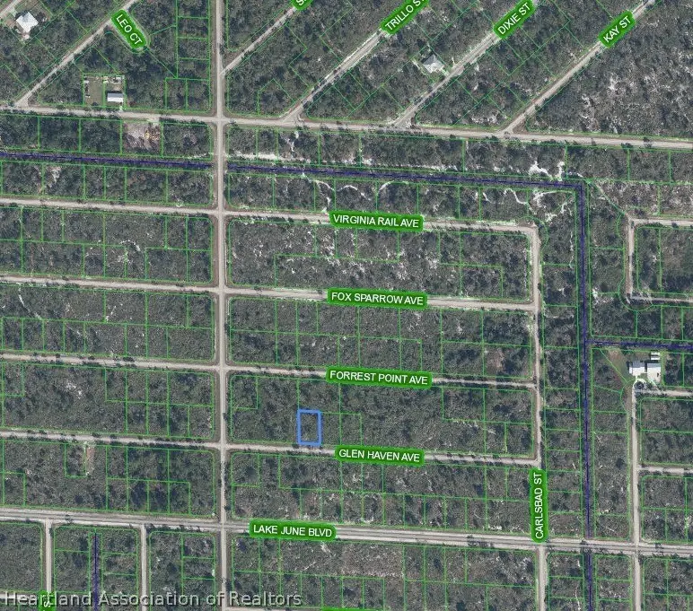 3457 Glen Haven Avenue, Lake Placid, FL 33852 - #1