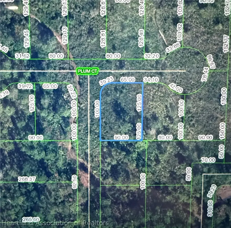 2202 Plum Court, Sebring, FL 33875 - #1