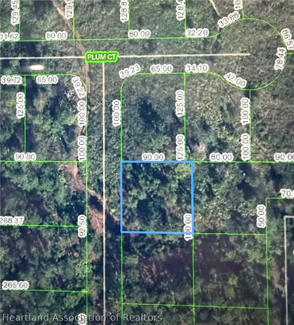 4702 Rhubarb Street, Sebring, FL 33875