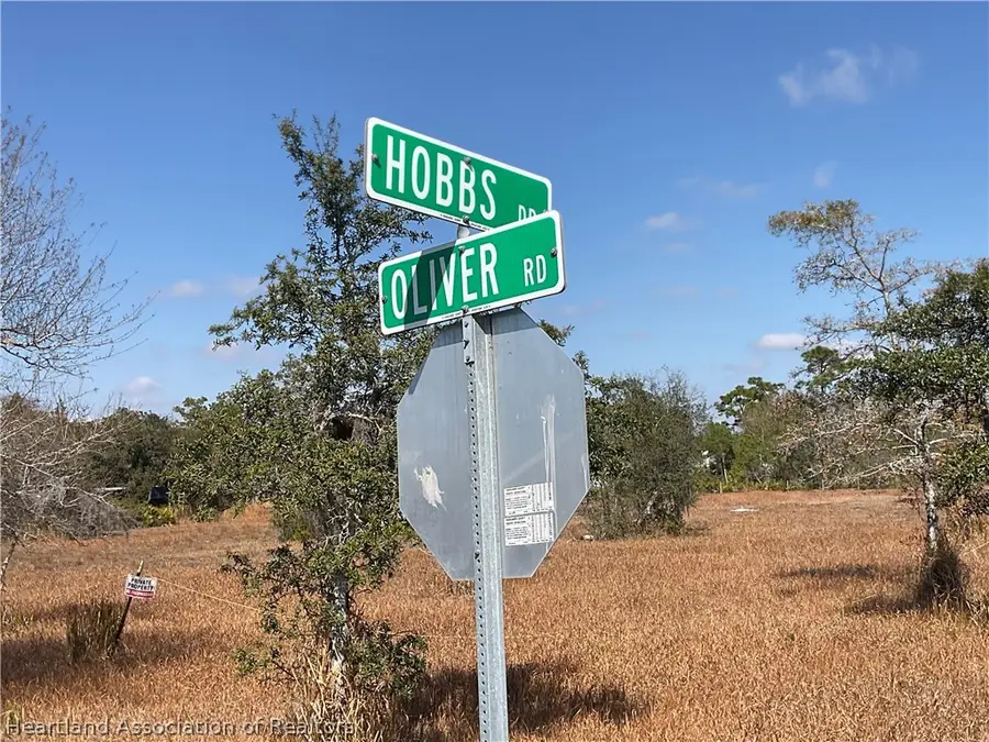 490 Hobbs Drive, Venus, FL 33960 - #2