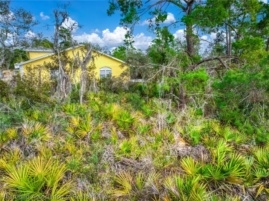 3085 W Scoralick Road, Avon Park, FL 33825 - #3