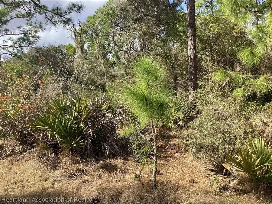 200 Rainbow Drive, Lake Placid, FL 33852 - #3