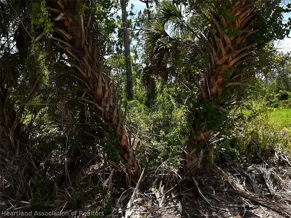 Abdella Lane, North Port, FL 34291