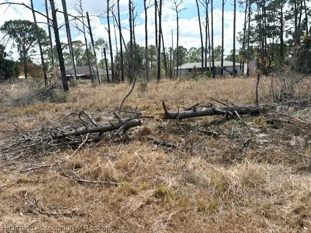 245 Moon River Avenue, Lake Placid, FL 33852 - #2