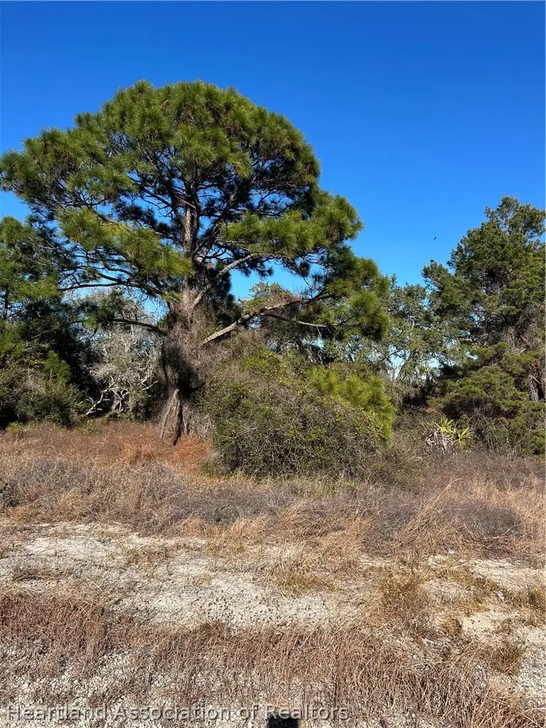 487 Devotion Drive, Lake Placid, FL 33852 - #1