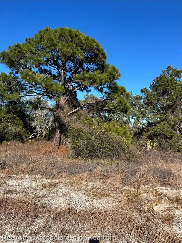 487 Devotion Drive, Lake Placid, FL 33852