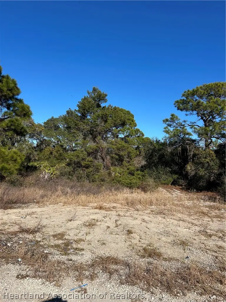 487 Devotion Drive, Lake Placid, FL 33852 - #2