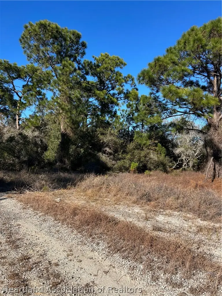 489 Devotion Drive, Lake Placid, FL 33852 - #1