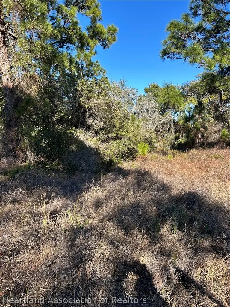 489 Devotion Drive, Lake Placid, FL 33852 - #2