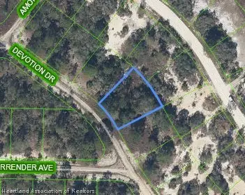 489 Devotion Drive, Lake Placid, FL 33852 - #3