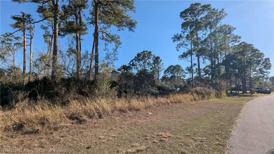 738 Star Fruit Avenue, Lake Placid, FL 33852 - #3