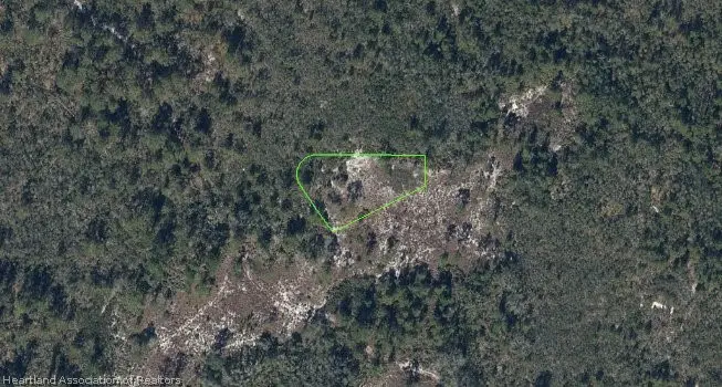 307 Young Love Lane, Lake Placid, FL 33852 - #1