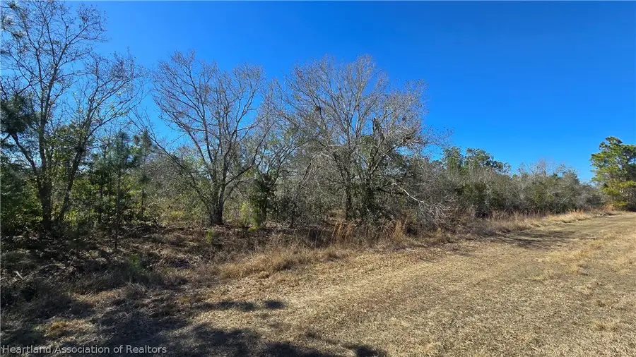 1870 Bear Bryant Road, Avon Park, FL 33825 - #3